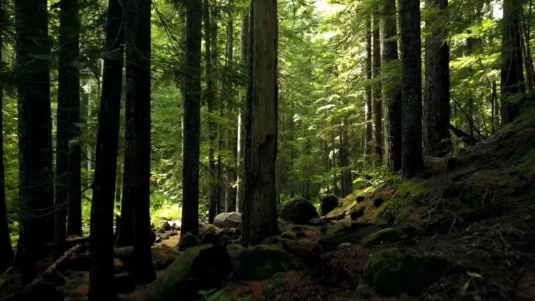 Kagu-Eesti ettevõtluse arengutoetus