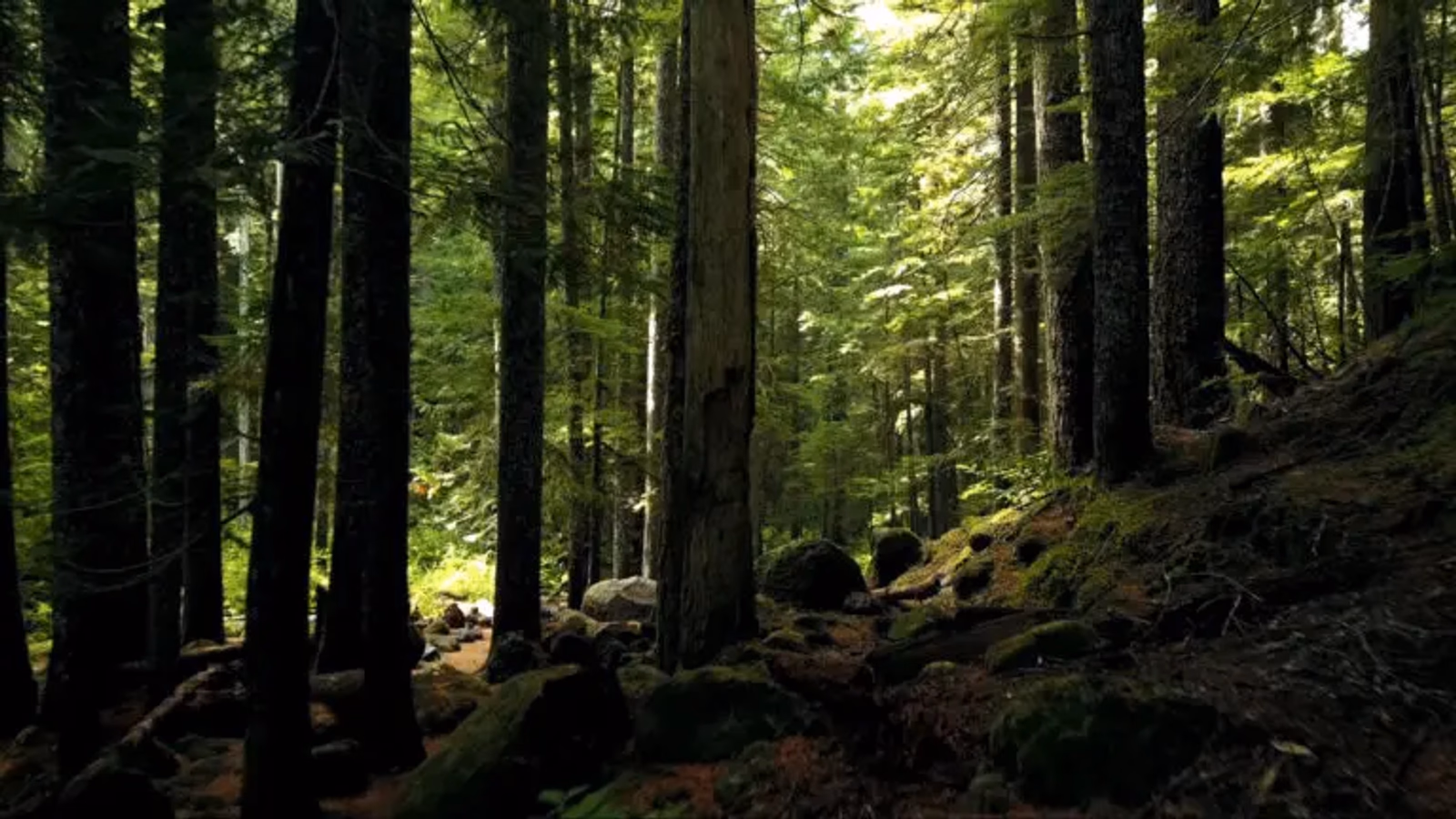 Taotlemistingimused: Kagu-Eesti ettevõtluse arengutoetus